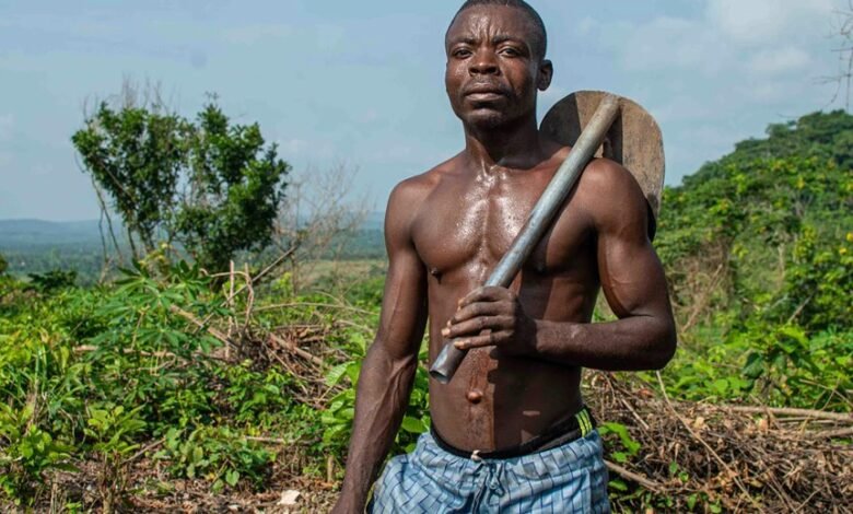 empower growth with technology