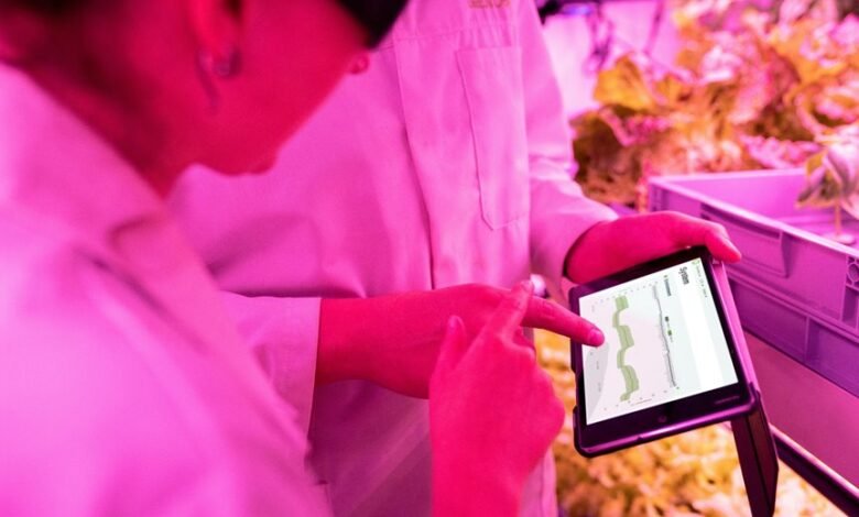 maximize growth with digital tools