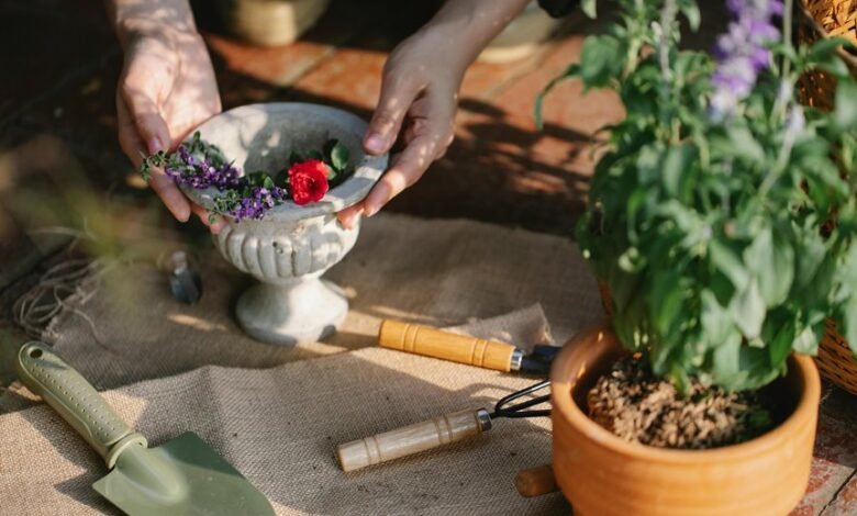 optimize digital growth tools